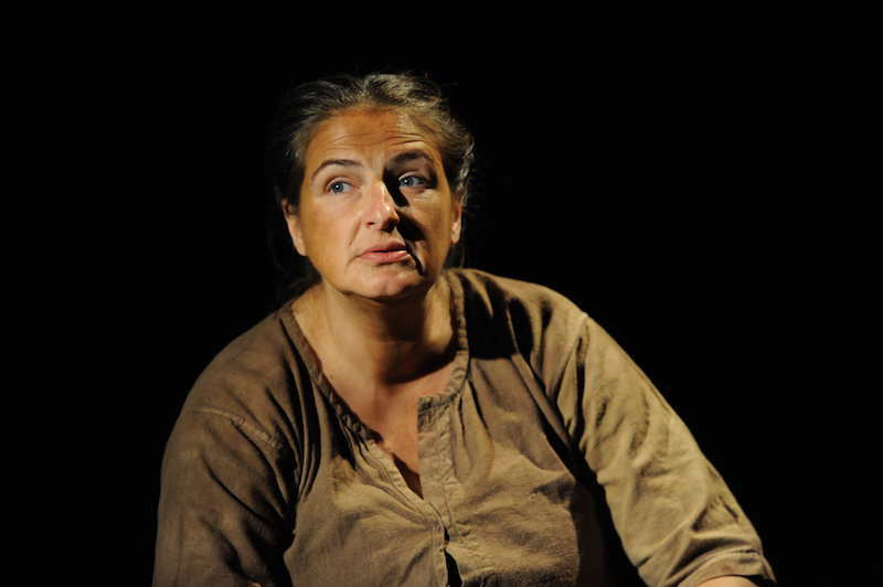 spectacles-daisy-the-cow-063